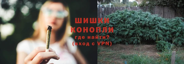 стафф Зерноград