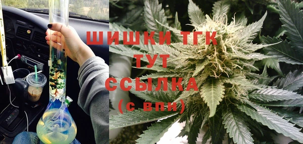 стафф Зерноград