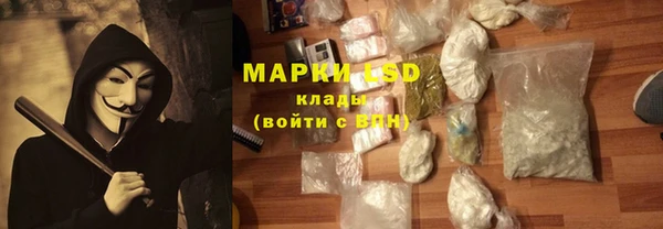 стафф Зерноград