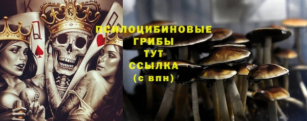 прущие крисы Зеленокумск