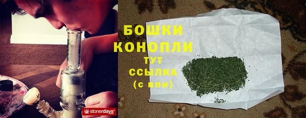 прущие крисы Зеленокумск